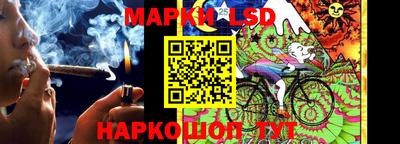 молекула духа Волжский
