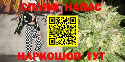 молекула духа Волжский