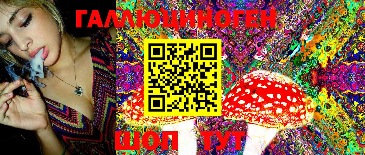 Галлюциногенные грибы Psilocybe  Галлюциногенные грибы MAGIC MUSHROOMS  Вход с VPN  Нарткала 
