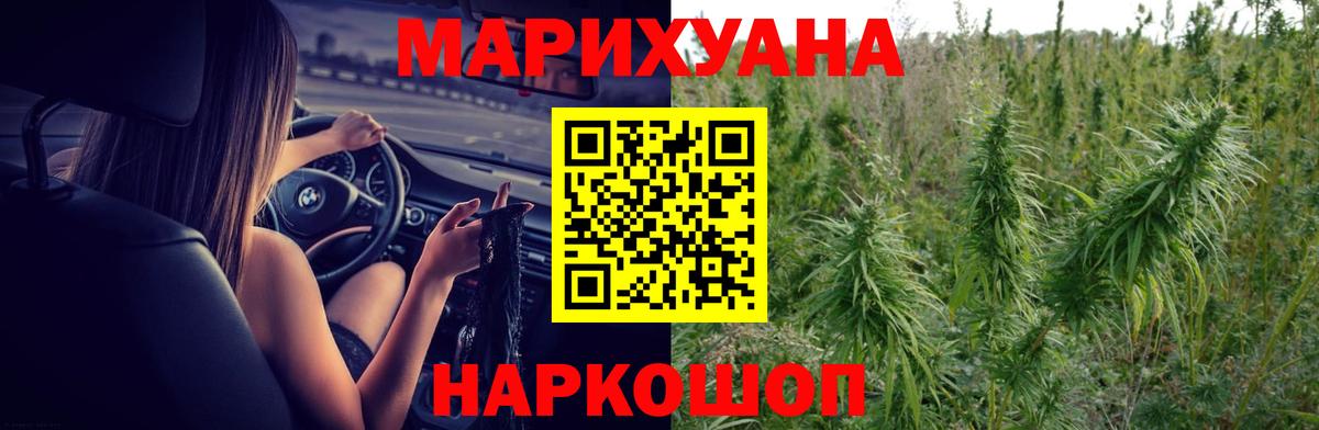 Конопля гибрид Нарткала